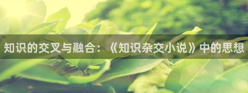80电子书下载网站txt：知识的交叉与融合：《知识杂交小说》中的思想