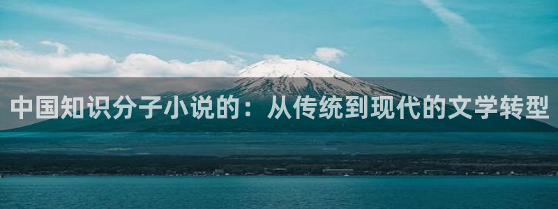 幸福宝8008隐藏读书章节：中国知识分子小说的：从传统到现代的文学转型