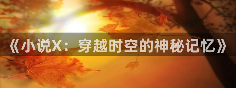 80s小说阅读网：《小说X：穿越时空的神秘记忆》