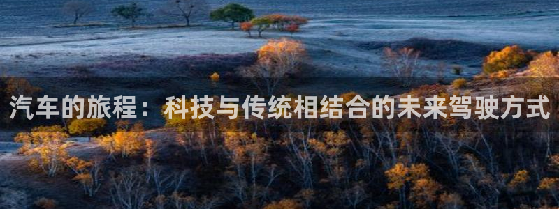 80txt电子书免费：汽车的旅程：科技与传统相结合的未来驾驶方式
