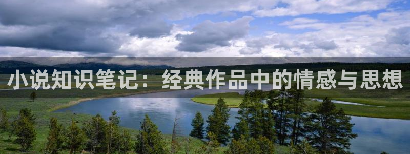 80txt电子书免费：小说知识笔记：经典作品中的情感与思想